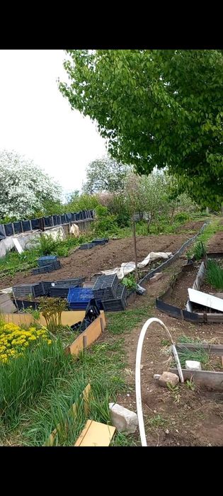 Продам Дачу. Сад Металлург