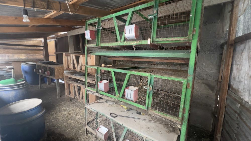 Клетки для Кроликов