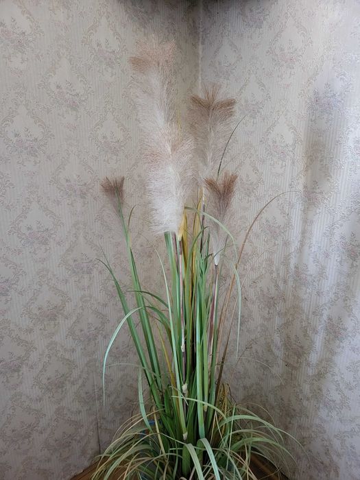 Decor pescaresc din delta