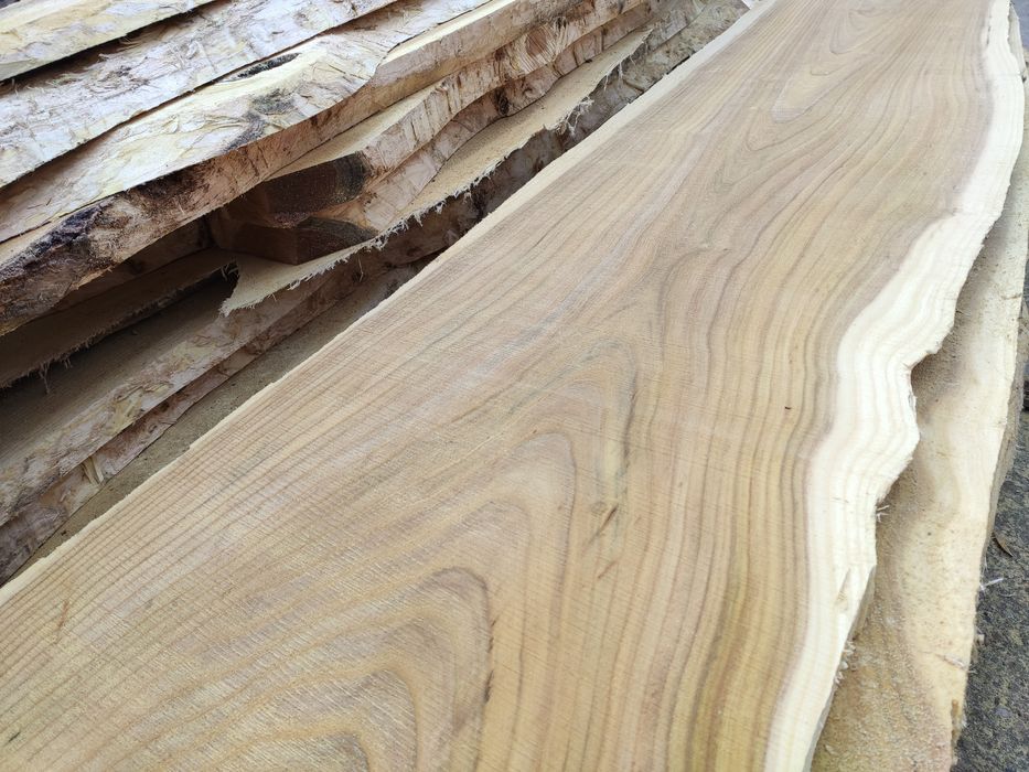 Cherestea de dud uscata