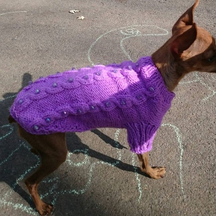 Свитерок для собачки новый