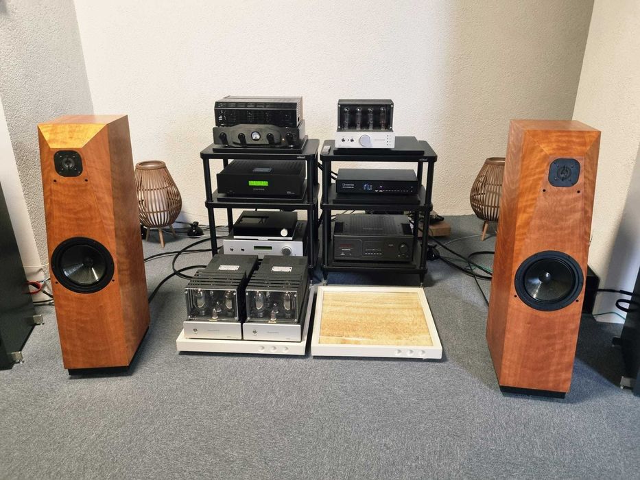 Boxe high-end Avalon Arcus