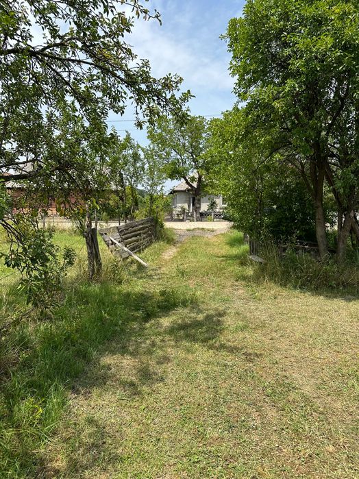 Teren lângă Cavnic la 12 minute de pârtie