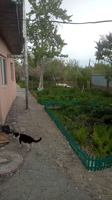 Продам дом доча в обществе Волна