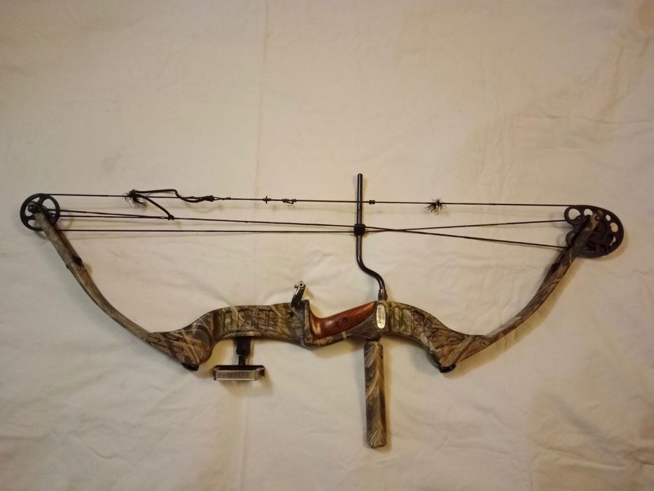 Американски лък компаунд