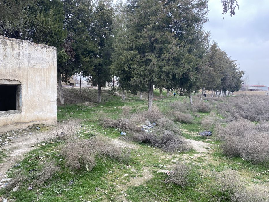 Нотурар жой сотилади ёки узок муддатга арендага берилади