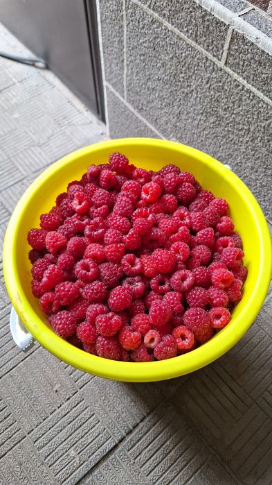 Продам малину, свежую