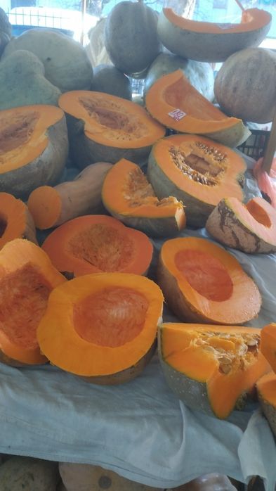 Продавам семена за посев отсладки български тикви кестени и сладки циг