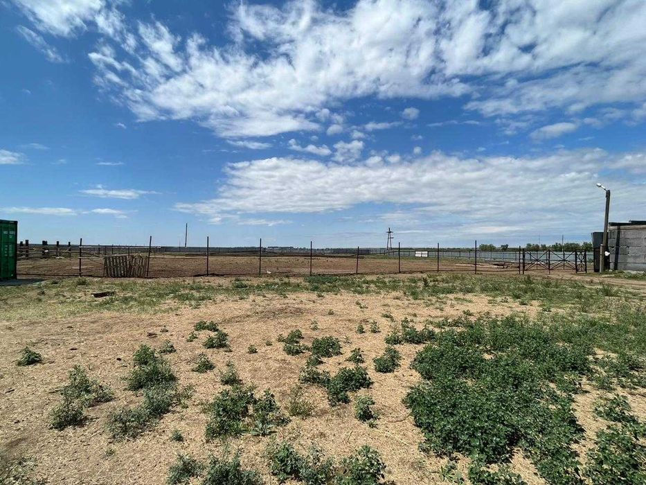 Животноводческая база