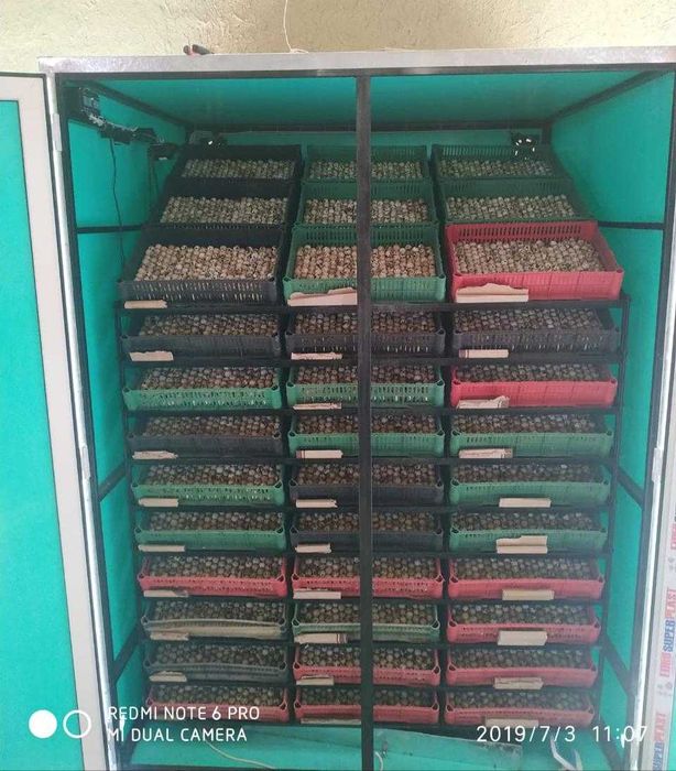 Инубаторы на заказ