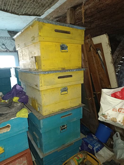 Vând stupi albine dulap 4 cm