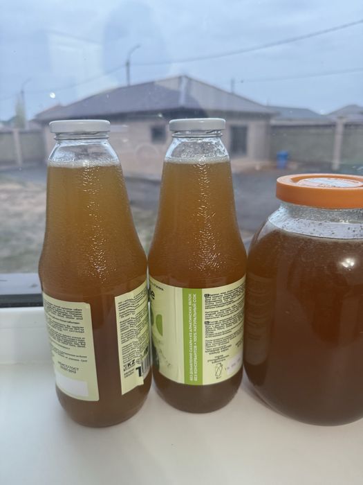 Мед Катон-Карагайский ВКО