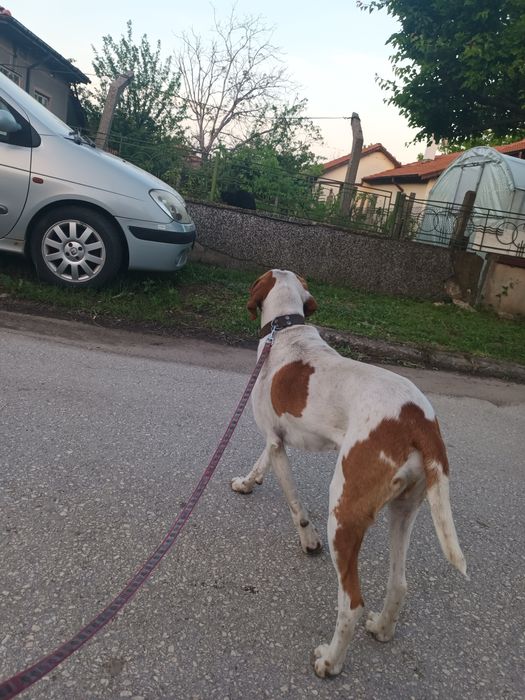 Откраднат/изгубен