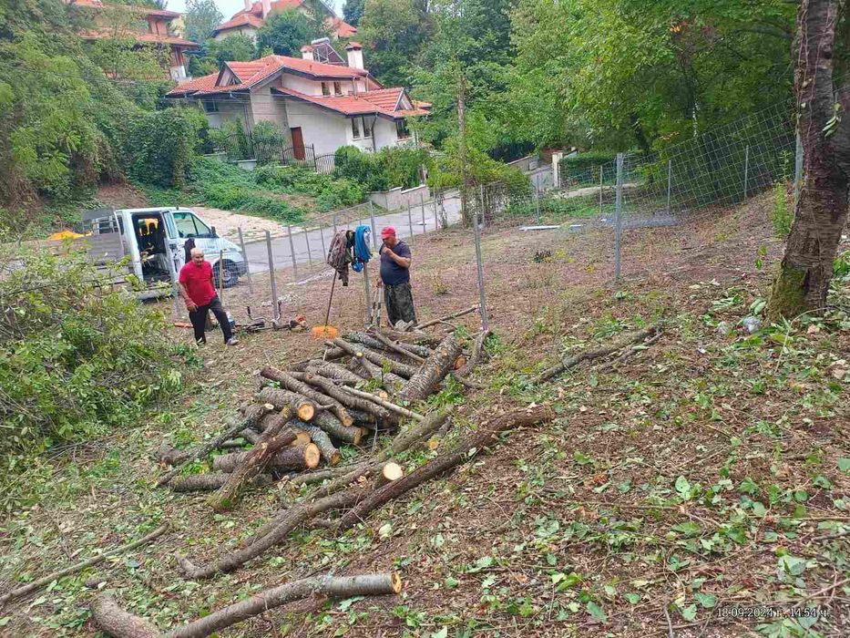 Рязане на дървета, почистване на дворове,косене на трева,поддръжка