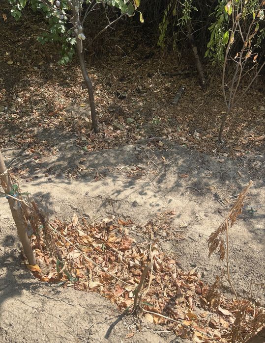 Продава се Къща в Оряхово - 89 кв.м за 201 €/кв.м - Снимка #5