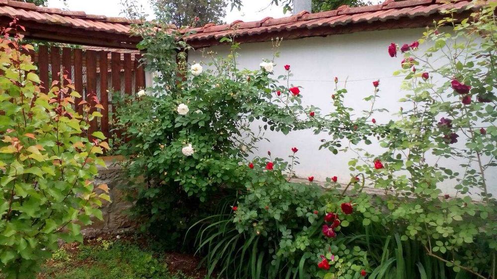 Продава се Къща в с. Дойренци, Област Ловеч - 200 кв.м за 222 €/кв.м - Снимка #3