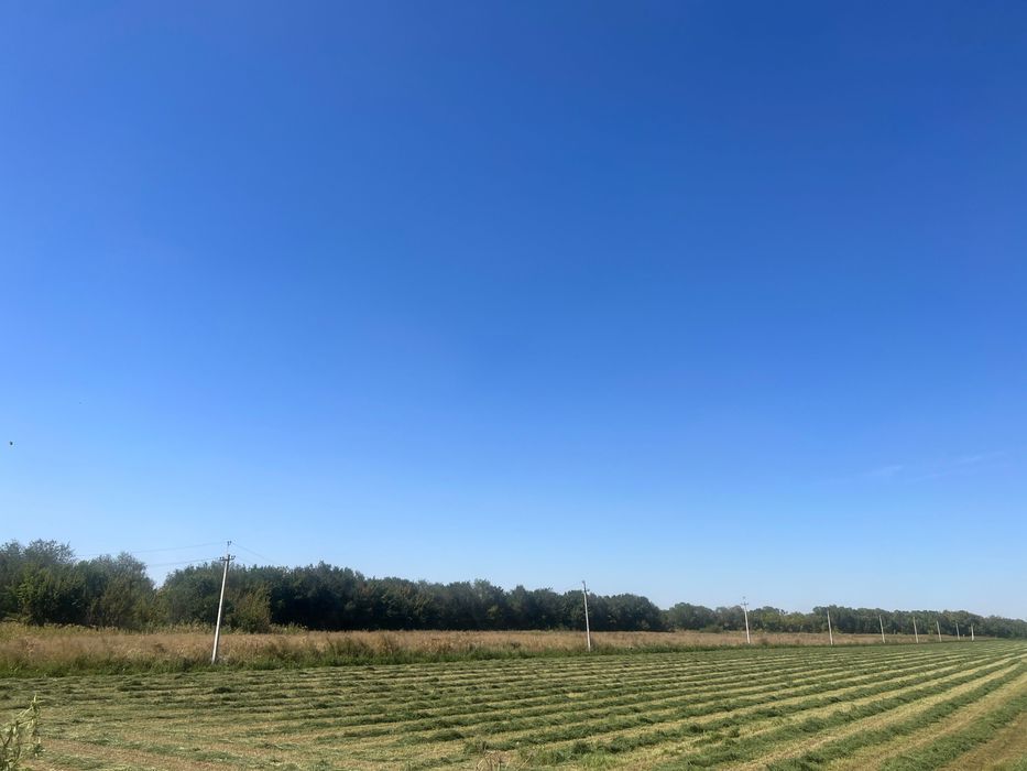 Земельный участок 7га