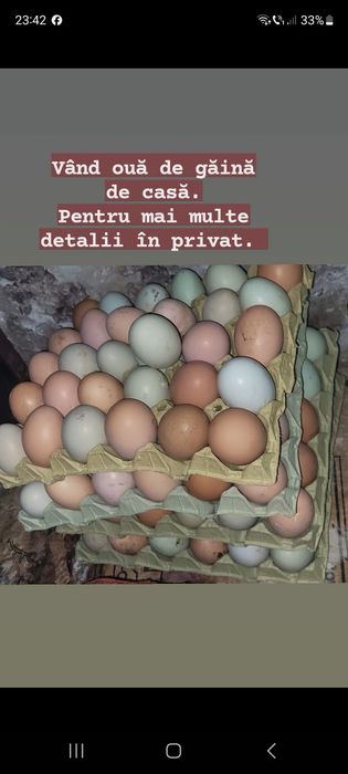 Vând ouă de găină de casă.