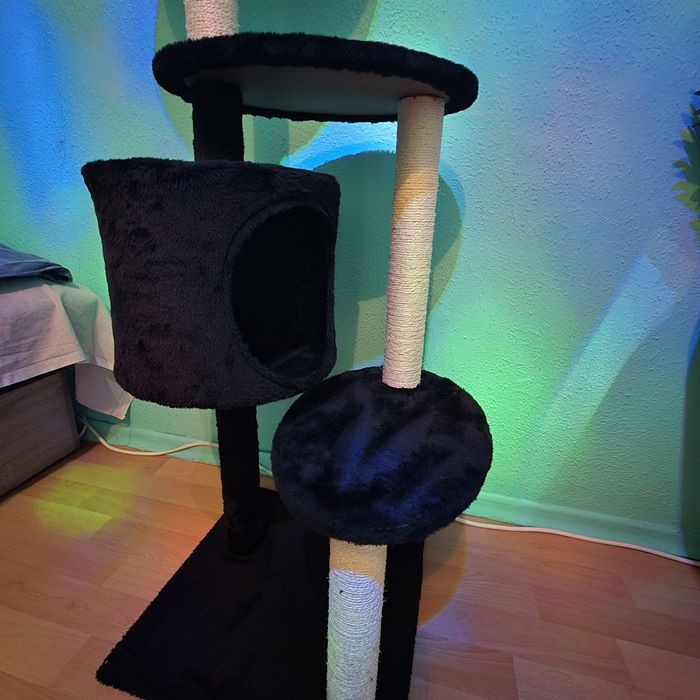 Котешка катерушка