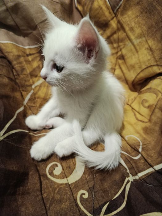 Sochli lesbiyan filmlarini onlayn tomosha qiling