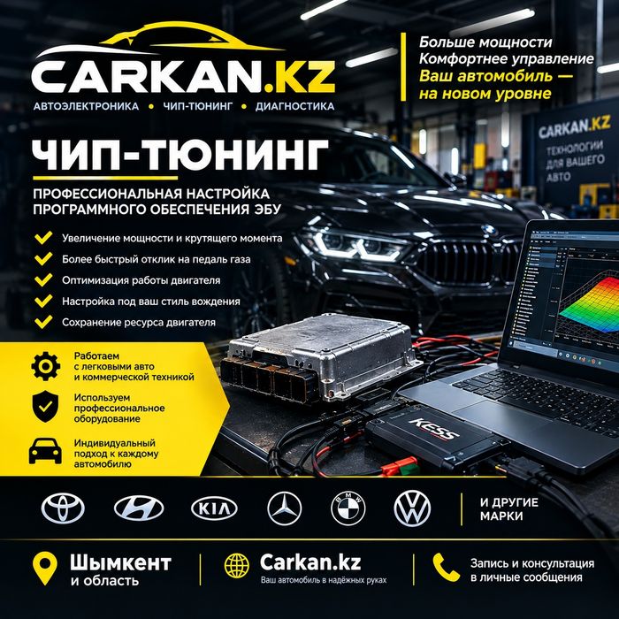 Прошивка авто Чип тюнинг E2 E0 Evap DPF EGR  SCR Adblue