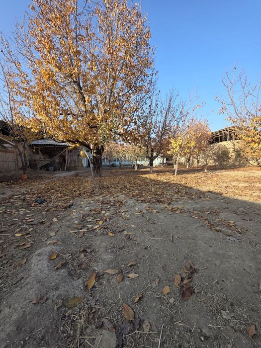 Дурмон САНИИФ 9 сотих+ 6 сотих   эски уй ер ҳисобида сотилади.