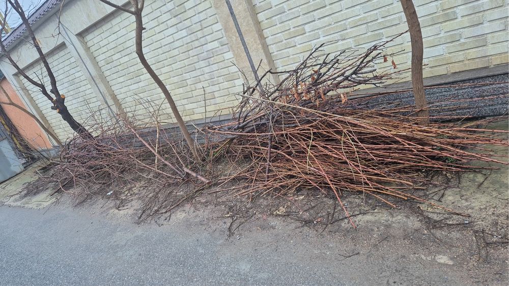 1 газель отын бар