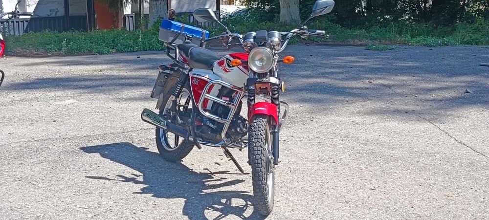 Альфа RX 2019 года