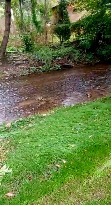 PF Vand cabana si teren Somesu Rece