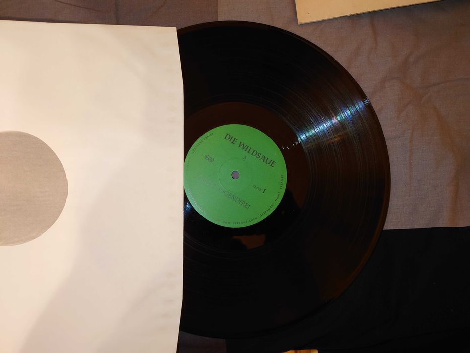 Discuri vinil [Tudor Gheorghe, etc.]