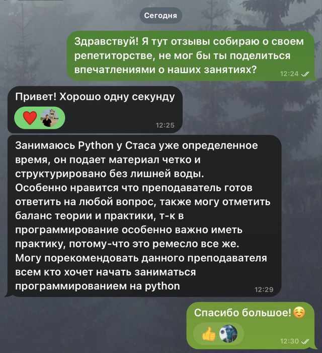 Репетитор Python - проффесиональный репетитор пайтон