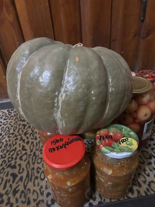 Тыква домашняя за 2000тг