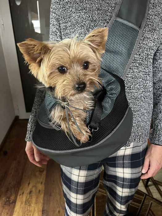 Малка чанта за куче