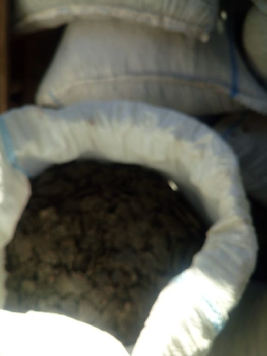 Strot de floarea soarelui