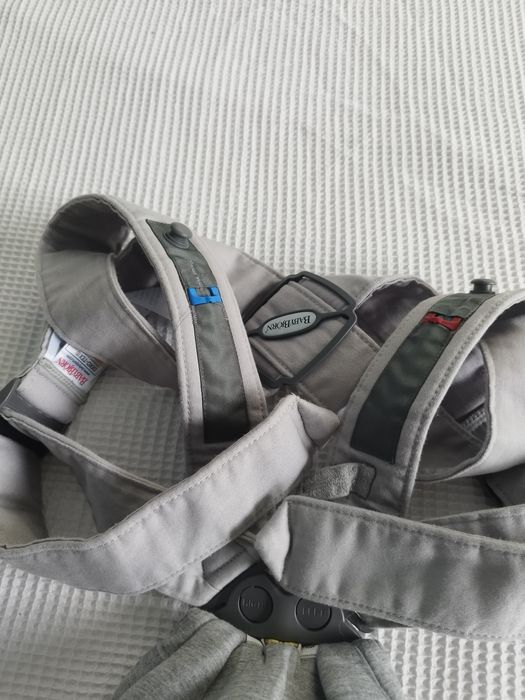 Анатомично кенгуру