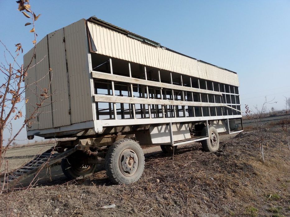 Asal arilar uchun vagon