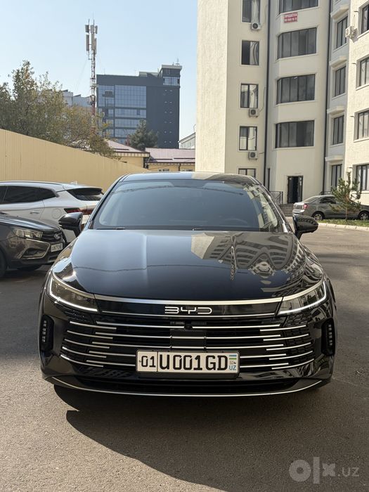 BYD Chazor 55km luxe