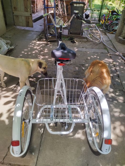 Tricicletă de adulți, nouă