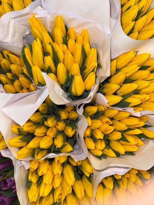 Тюльпаны оптом в розницу/ корпоративные заказы
