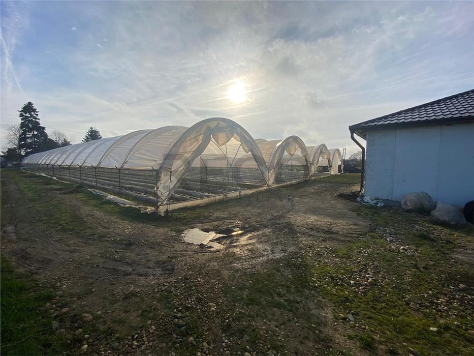 Teren cu solari si casa de constuctie usoară.