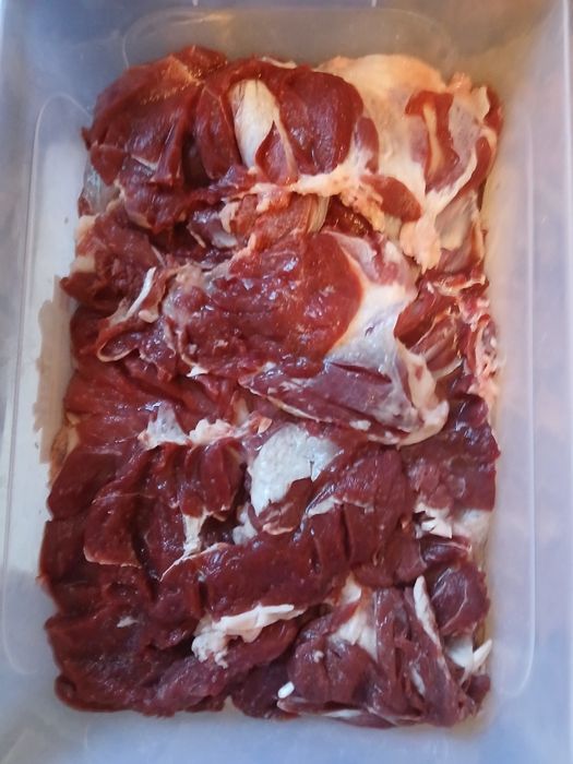 Vand berbecut lacaune