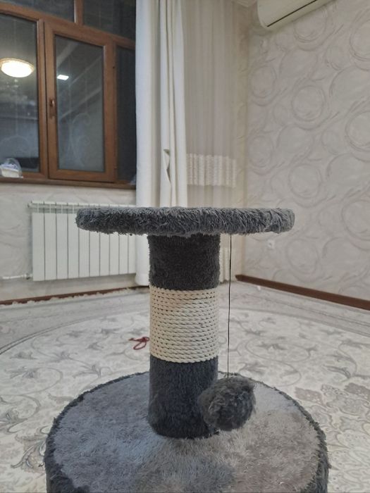 Mushuk uchun uycha. Домик для кошек или котят.