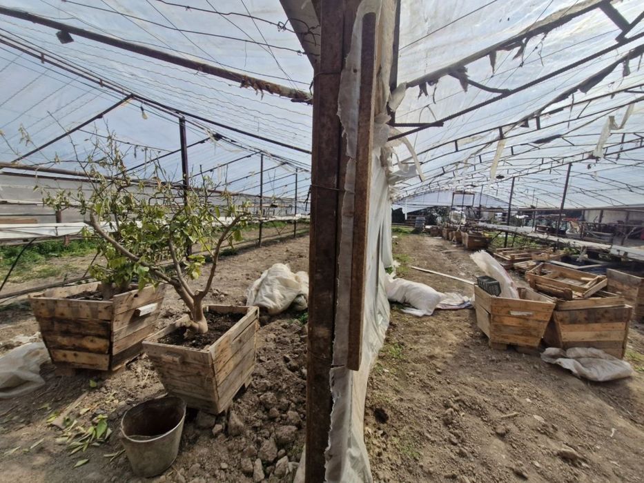 teplitsa parnik 3 sotix