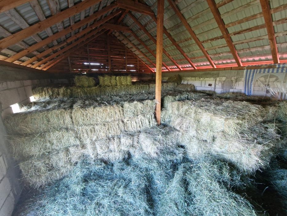 De vânzare baloti de fan