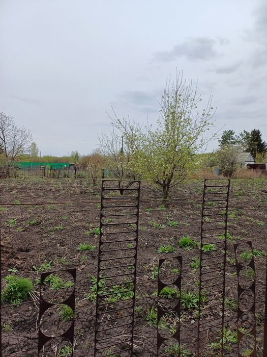 Продам  участок с/о "Ракета"