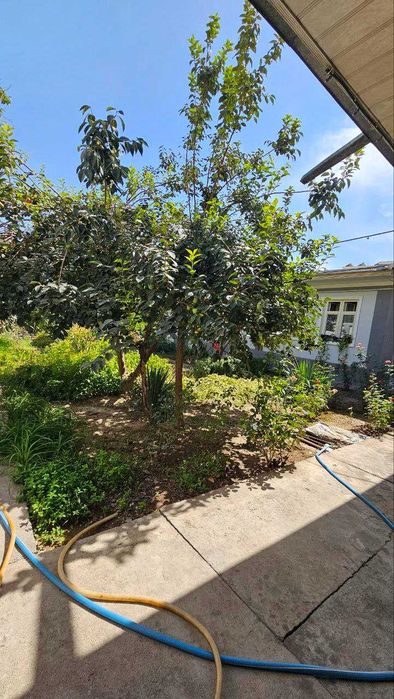 "СРОЧНО Участок 7соток ул.Глинки Гостиница Marriott Мирабадский раен‼️