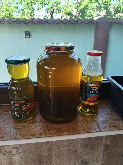 Sirop de menta la 1 litru