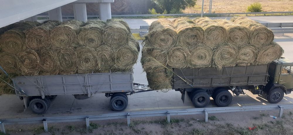 Сено люцерна жоношка урлон люцерна