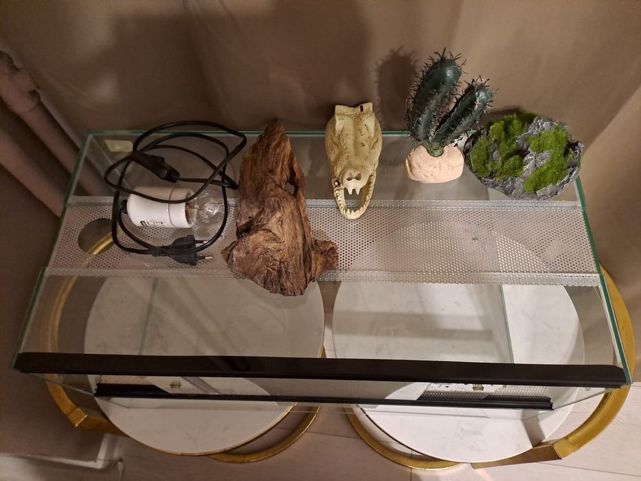 Terariu sticla 60 x 30 x 30