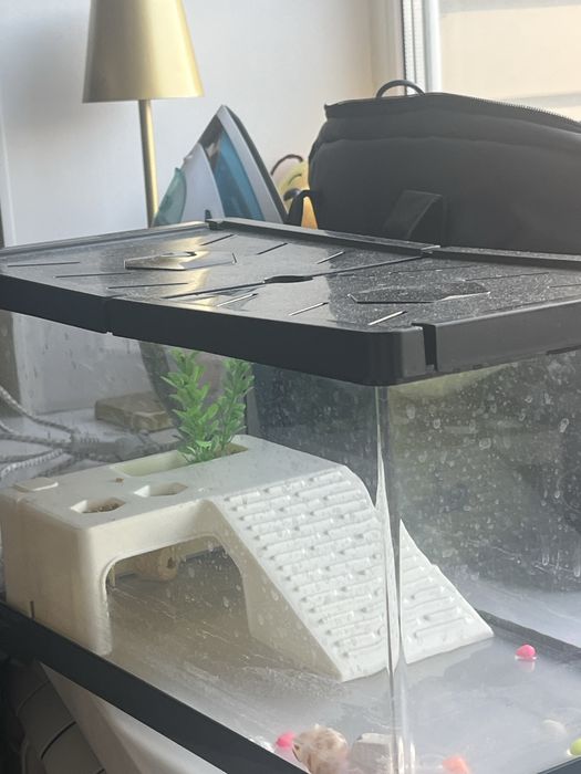 Аквариум для черепашки